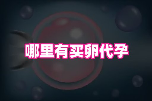 南京助孕网 1